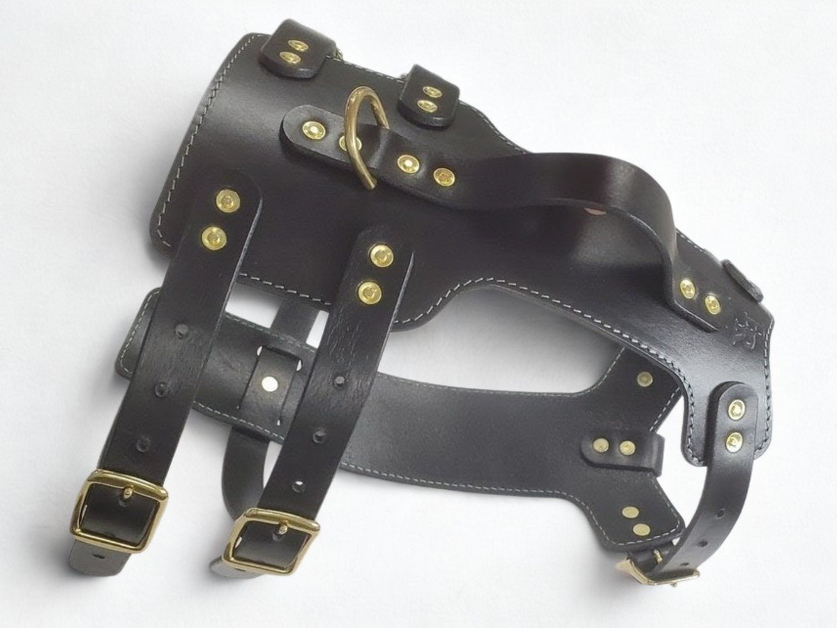 Dog Harness