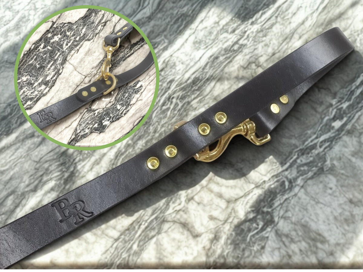 Black Leather Leash dual use