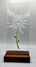 Wish